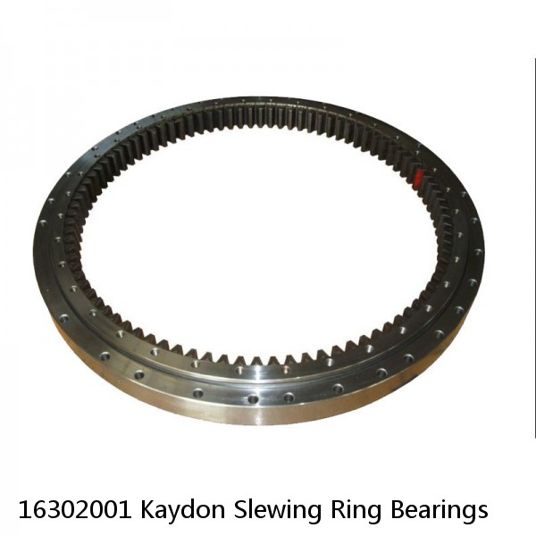 16302001 Kaydon Slewing Ring Bearings