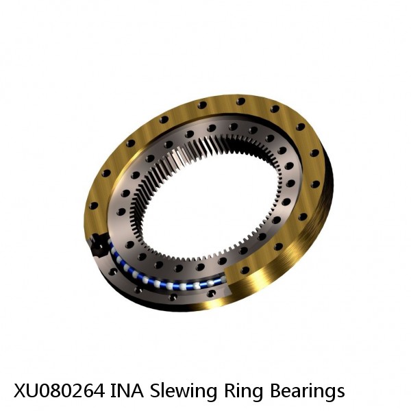 XU080264 INA Slewing Ring Bearings