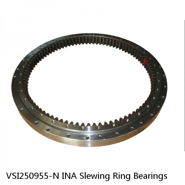 VSI250955-N INA Slewing Ring Bearings