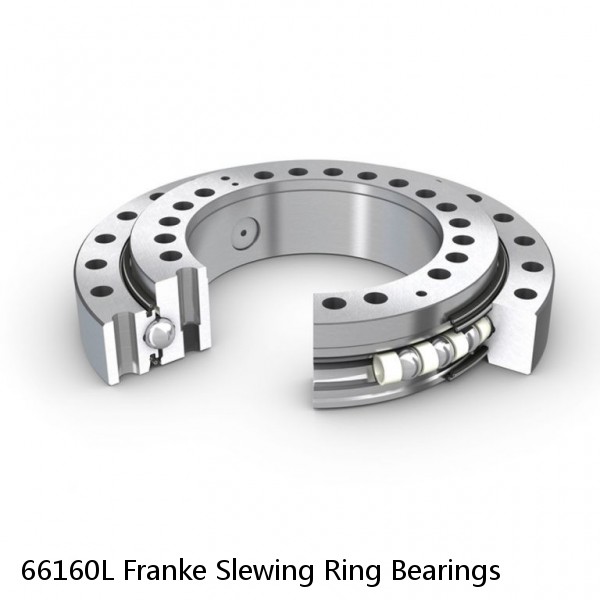 66160L Franke Slewing Ring Bearings