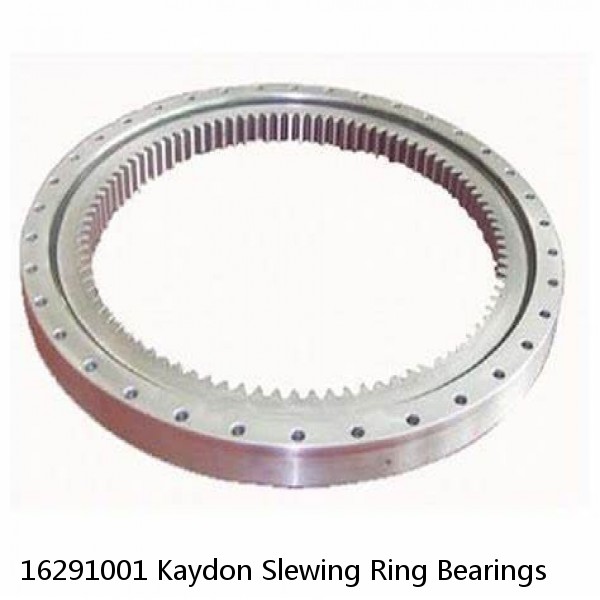 16291001 Kaydon Slewing Ring Bearings