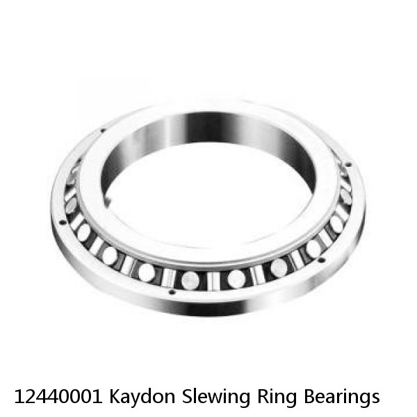 12440001 Kaydon Slewing Ring Bearings