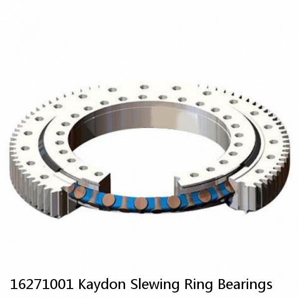 16271001 Kaydon Slewing Ring Bearings