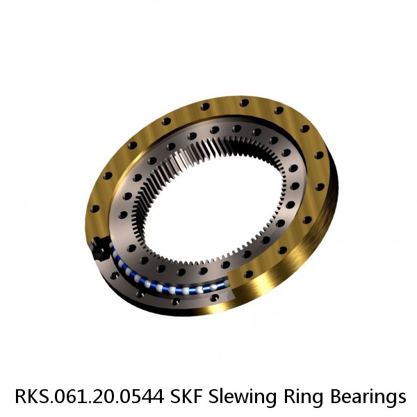 RKS.061.20.0544 SKF Slewing Ring Bearings