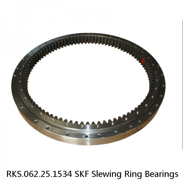 RKS.062.25.1534 SKF Slewing Ring Bearings