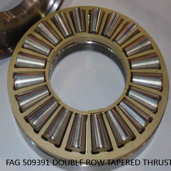 FAG 509391 DOUBLE ROW TAPERED THRUST ROLLER BEARINGS