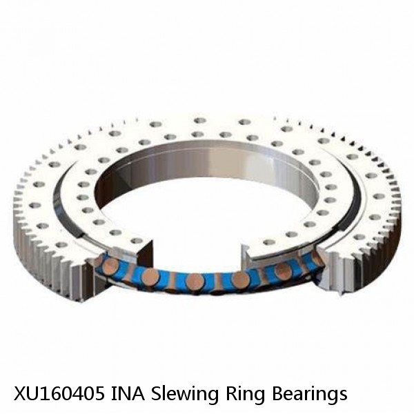 XU160405 INA Slewing Ring Bearings