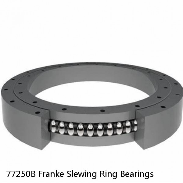 77250B Franke Slewing Ring Bearings