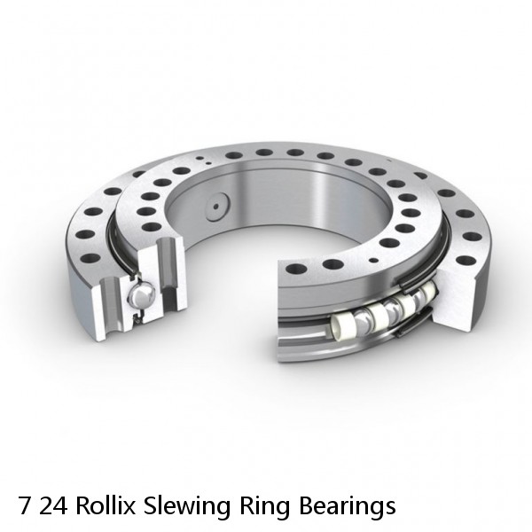 7 24 Rollix Slewing Ring Bearings