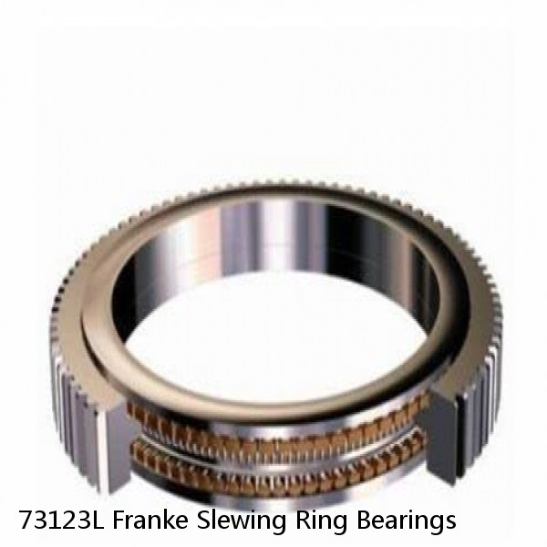 73123L Franke Slewing Ring Bearings