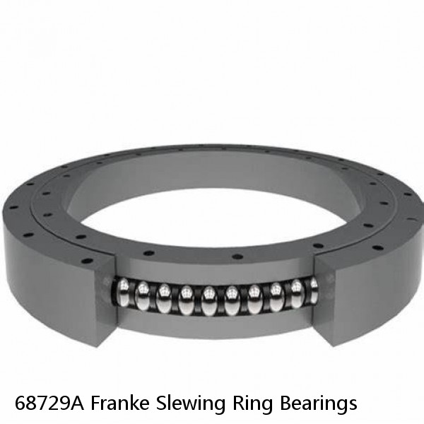 68729A Franke Slewing Ring Bearings