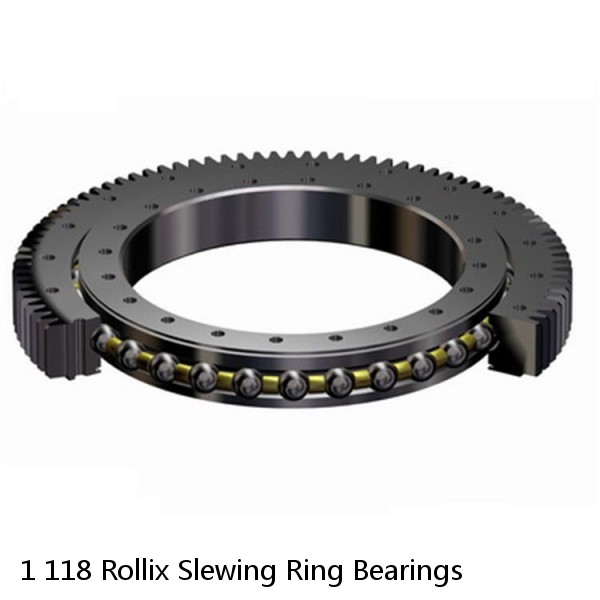 1 118 Rollix Slewing Ring Bearings