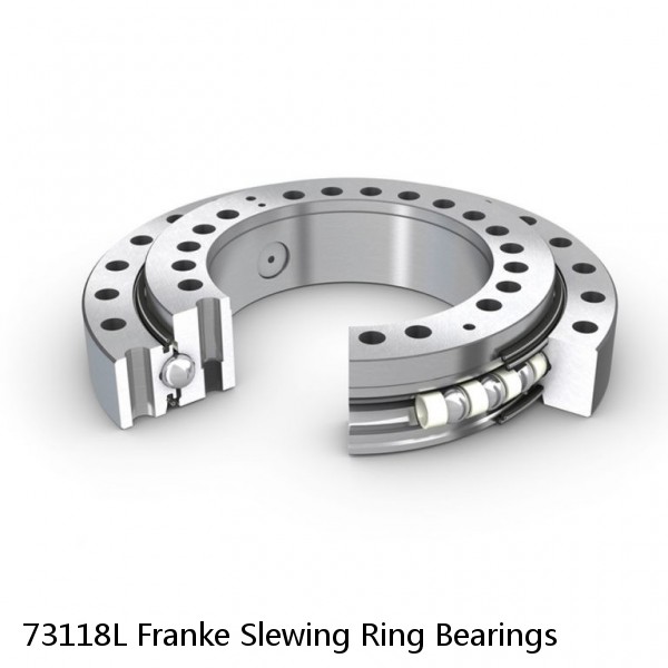 73118L Franke Slewing Ring Bearings