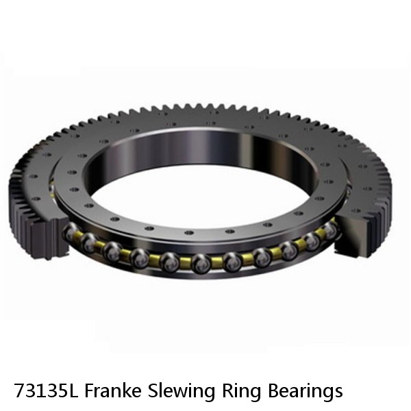 73135L Franke Slewing Ring Bearings