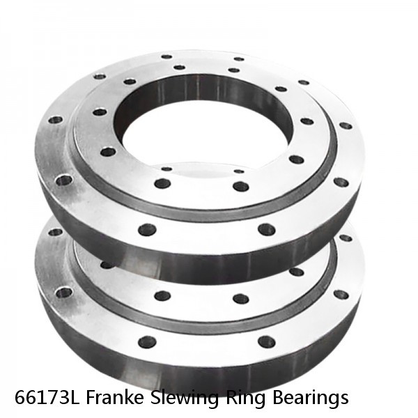 66173L Franke Slewing Ring Bearings