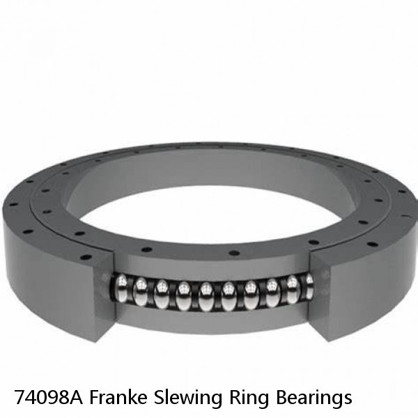 74098A Franke Slewing Ring Bearings