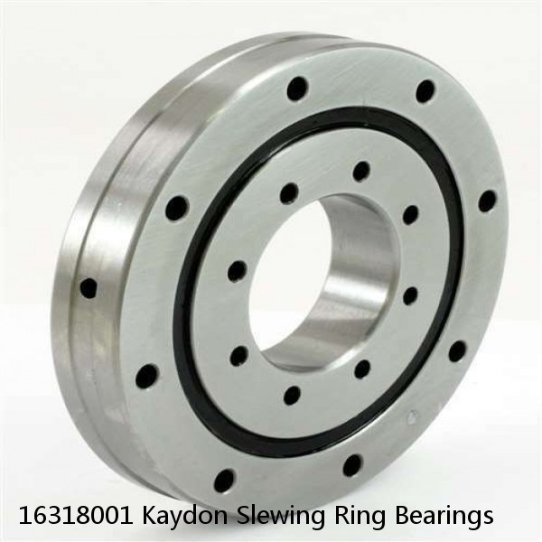 16318001 Kaydon Slewing Ring Bearings