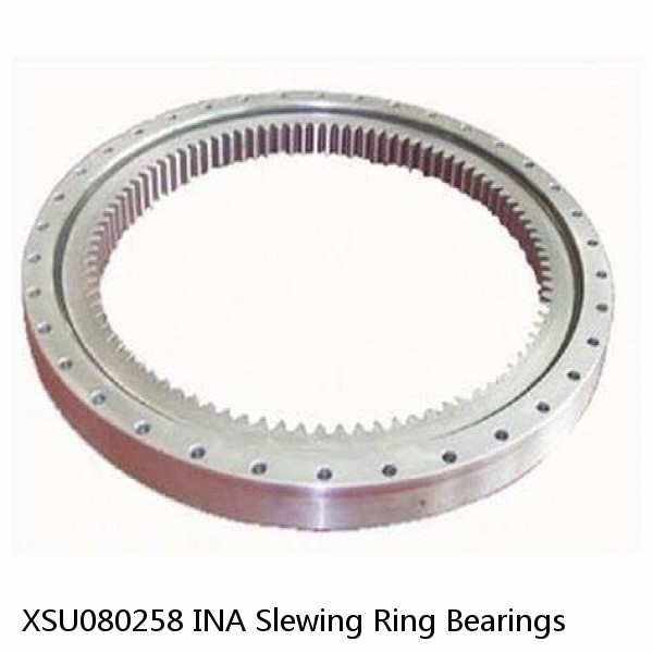 XSU080258 INA Slewing Ring Bearings