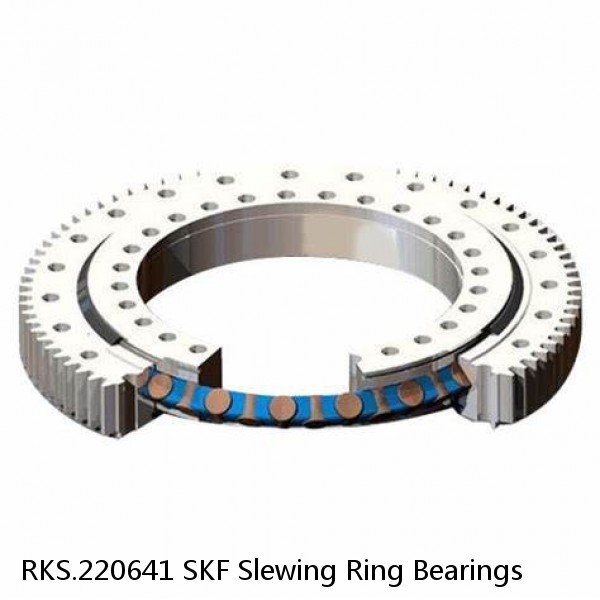 RKS.220641 SKF Slewing Ring Bearings