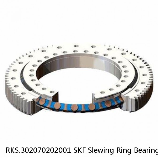 RKS.302070202001 SKF Slewing Ring Bearings